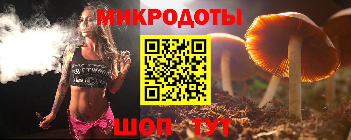 Галлюциногенные грибы Cubensis Югорск